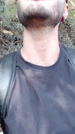 Synbaherrera  02-07-2020