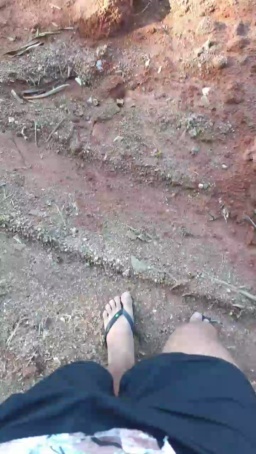 Synbaherrera  04-07-2020