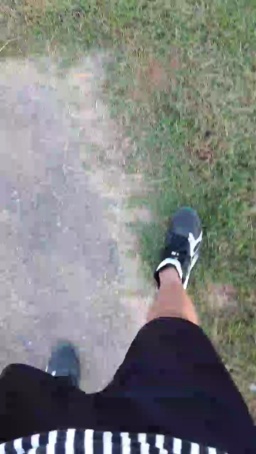 Synbaherrera  07-07-2020