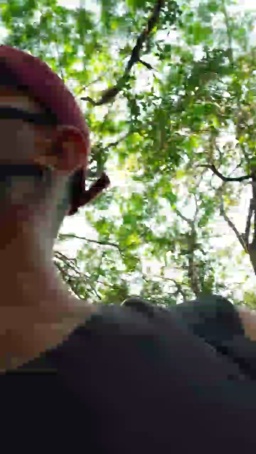 Synbaherrera  19-07-2020
