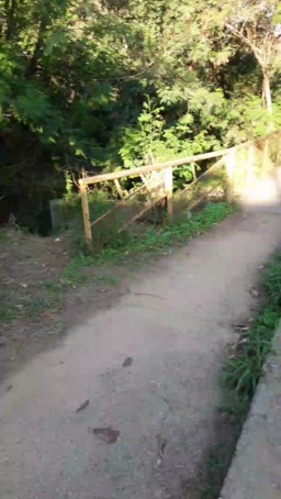 Synbaherrera  19-07-2020