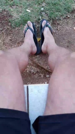 Synbaherrera  19-08-2020