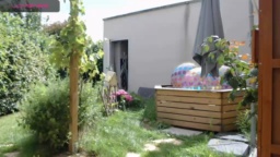 tomsauwer  29-06-2020