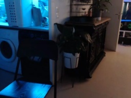 tomsauwer  10-07-2020