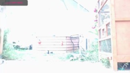 tomsauwer  16-07-2020