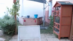 tomsauwer  23-07-2020