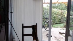 tomsauwer  09-10-2020