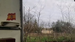 zora988  11-02-2021